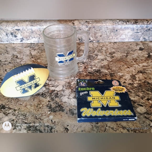 Michigan Wolverines  New Man Cave Decor University Of Michigan - Picture 1 of 3